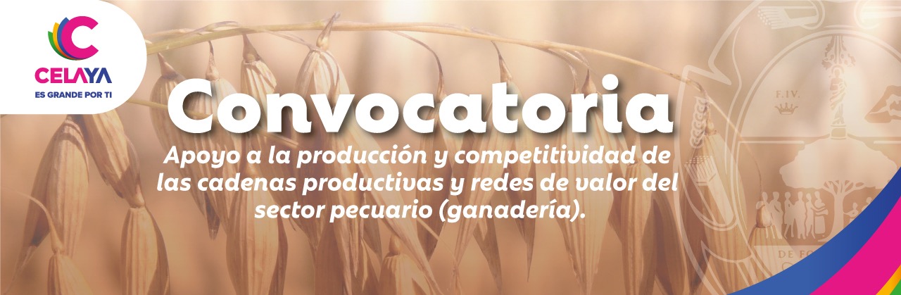 Convocatoria Apoyo a la producción y competitividad de las cadenas productivas y redes de valor del sector pecuario (ganadería).