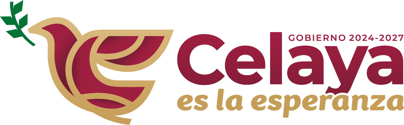 Presidencia Municipal Celaya